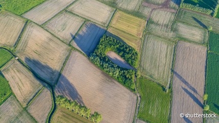 Het middeleeuwse millennium. Een kijk vanuit de Vlaamse bodem