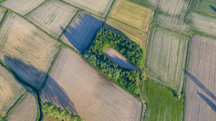 Het middeleeuws millenium. Een kijk vanuit de Vlaamse bodem