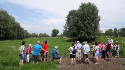 Het Wonderwoud: gegidste wandeling in een groenpool in ontwikkeling