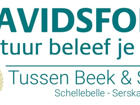 logo 100.png